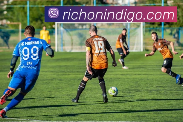 九游网官网登录入口平台生态图